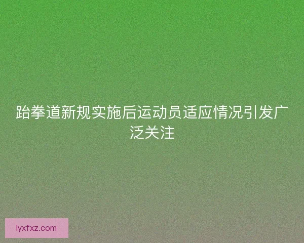 跆拳道新规实施后运动员适应情况引发广泛关注